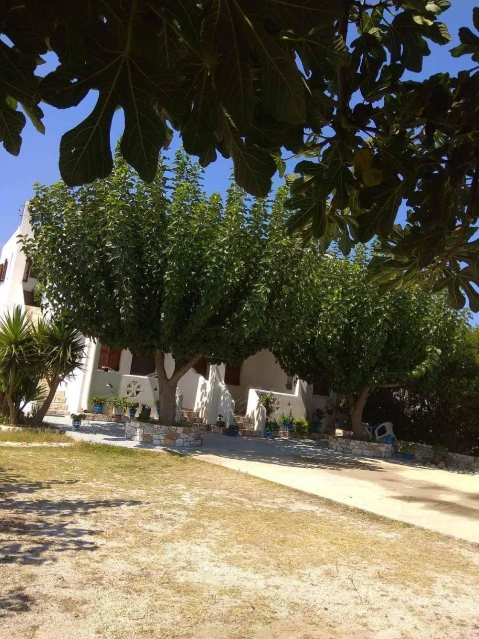 Athena'S Houses Skyros Exteriör bild